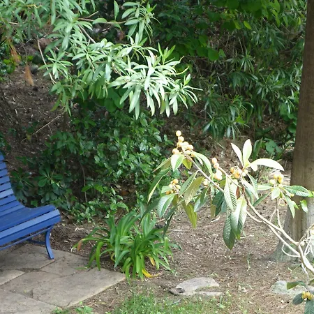 Fashionable House Flat With Garden ヴィラ *